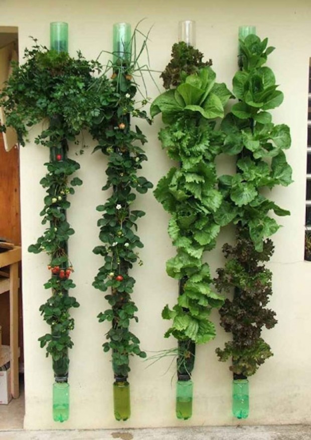 23 Amazing Vertical Garden Ideas for Your Small Yard (16)
