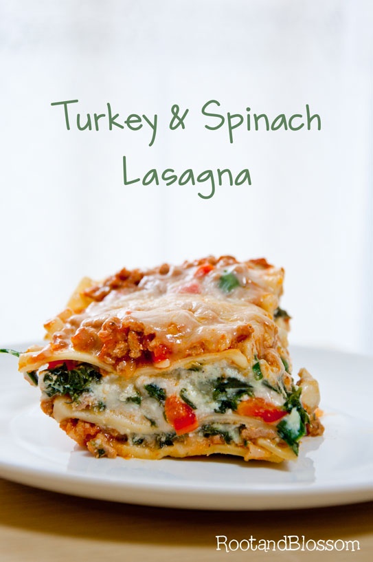 Delicious Lasagna Recipes (8)