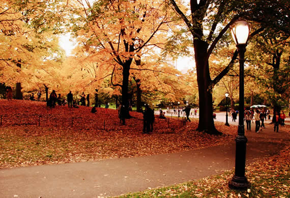 Fall in Central Park, New York (1)