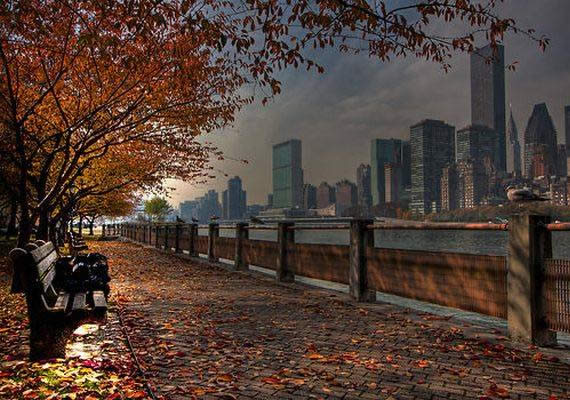 Fall in Central Park, New York (11)