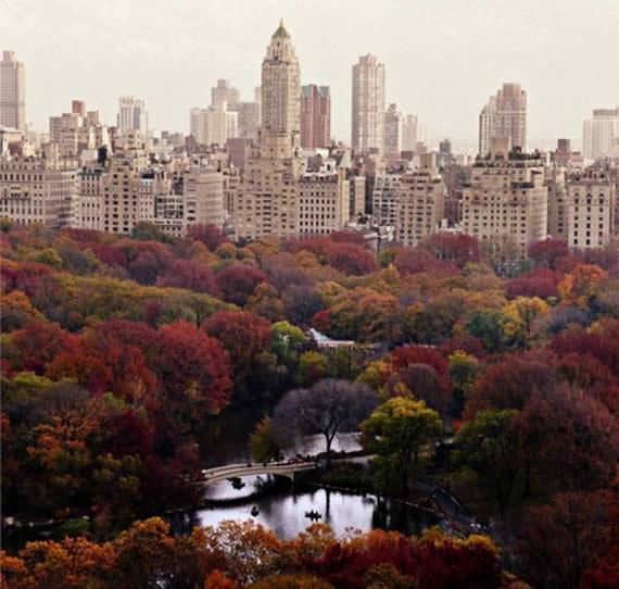Fall in Central Park, New York (12)
