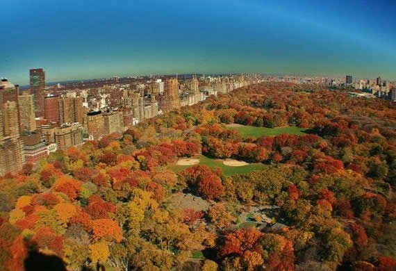 Fall in Central Park, New York (14)