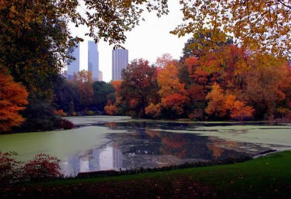 Fall in Central Park, New York (16)