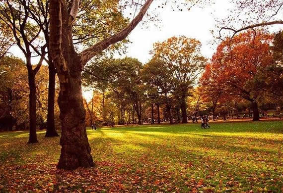 Fall in Central Park, New York (17)