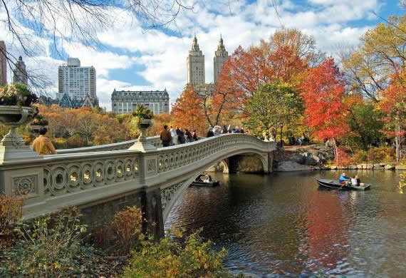 Fall in Central Park, New York (18)