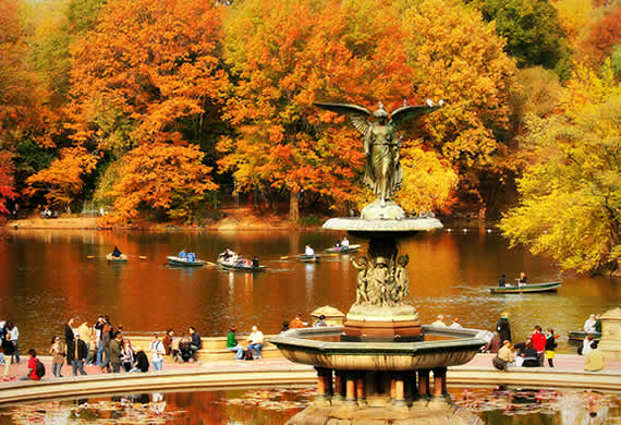Fall in Central Park, New York (2)