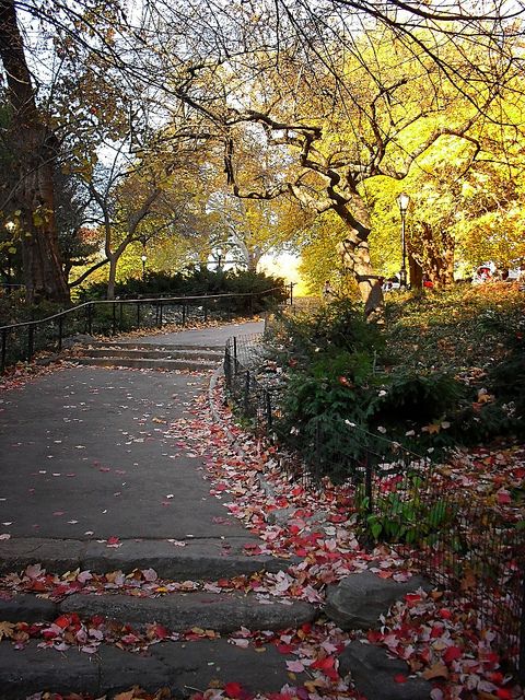 Fall in Central Park, New York (5)