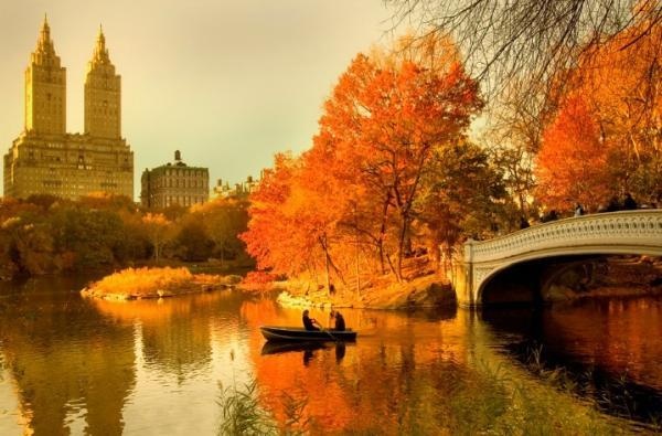 Fall in Central Park, New York (8)