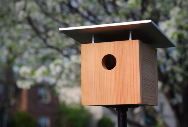 Great DIY Birdhouse Ideas for Your Garden (1)
