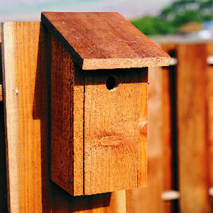 Great DIY Birdhouse Ideas for Your Garden (13)