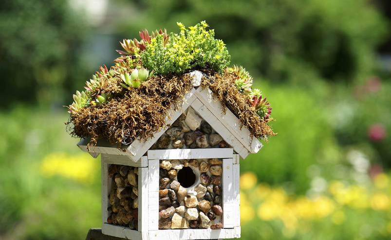 Great DIY Birdhouse Ideas for Your Garden (2)