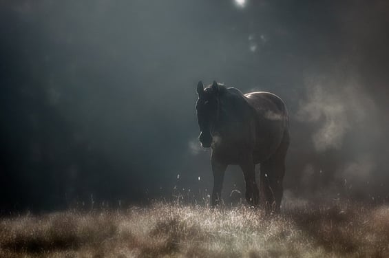 Phenomenal Photography by Photographer Mikko Lagerstedt (1)