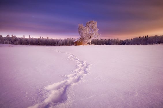 Phenomenal Photography by Photographer Mikko Lagerstedt (10)