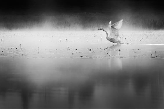 Phenomenal Photography by Photographer Mikko Lagerstedt (17)