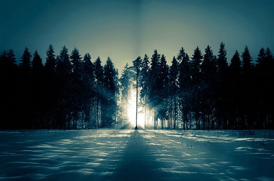 Phenomenal Photography by Photographer Mikko Lagerstedt (22)