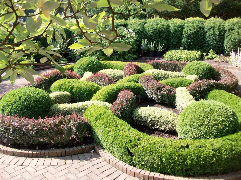 24 Beautiful Boxwood Garden Ideas