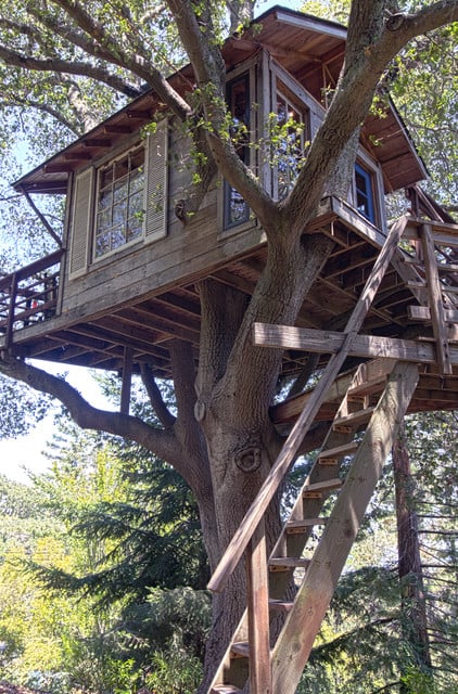 18 Amazing Tree House Design Ideas that Your Kids Will Love (7)