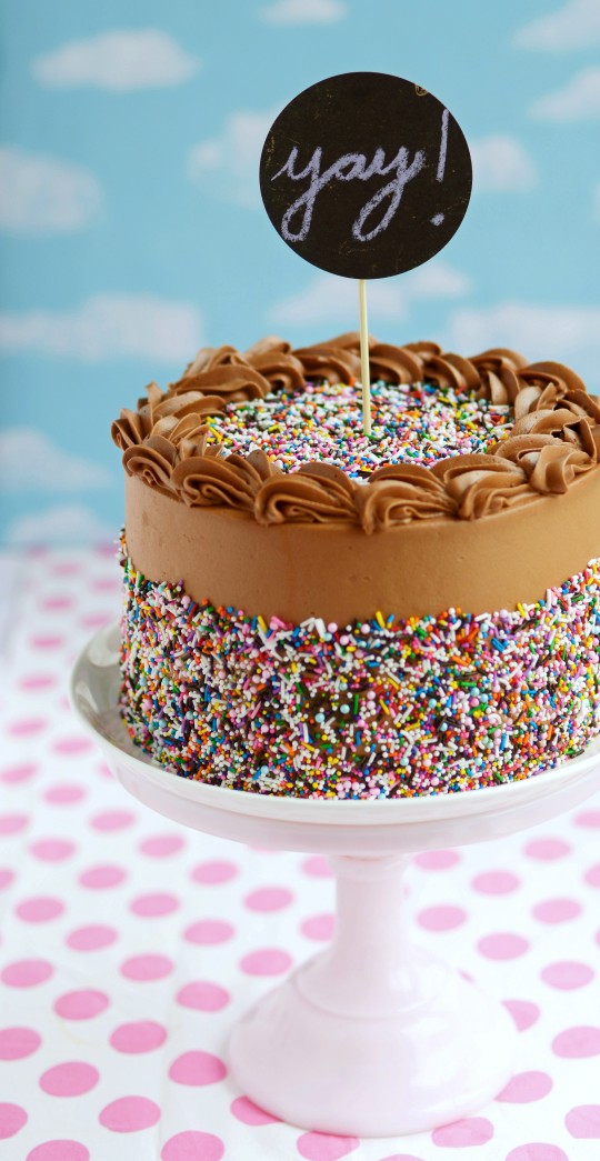 22 Delicious Birthday Cakes Recipes for the Best Birthday Ever (19)
