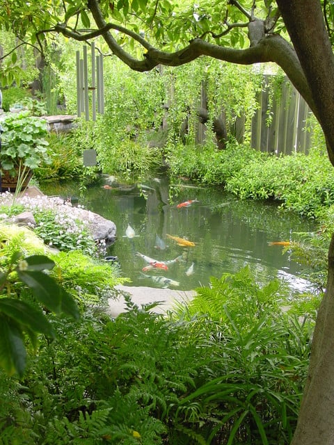 22 Great Pond Design Ideas for Your Garden (11)