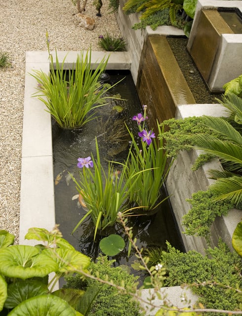 22 Great Pond Design Ideas for Your Garden (12)