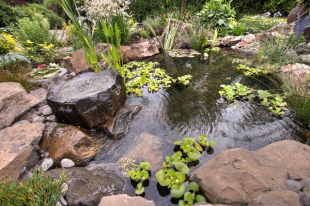 22 Great Pond Design Ideas for Your Garden (15)