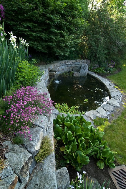 22 Great Pond Design Ideas for Your Garden (16)