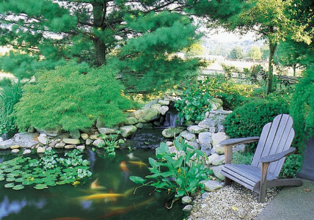 22 Great Pond Design Ideas for Your Garden (17)