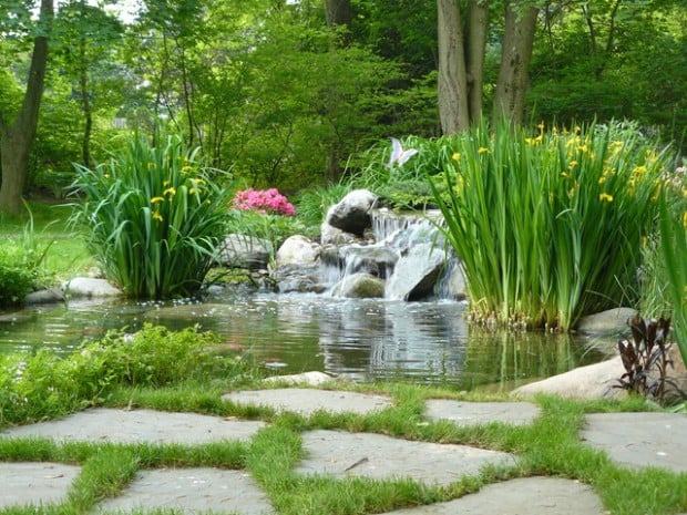 22 Great Pond Design Ideas for Your Garden (7)