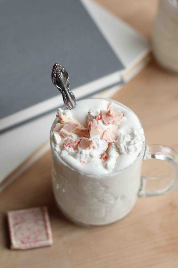 Hot Drinks for Cold Days 20 Great Recipes (20)