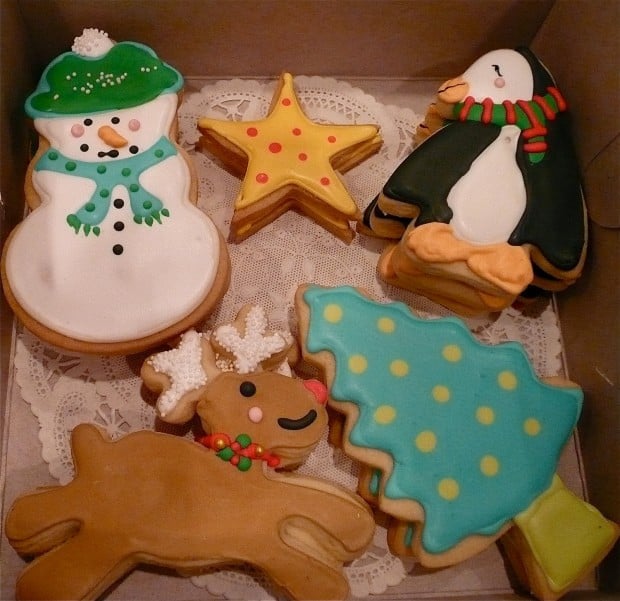 17 Delicious Christmas Cookie Samples (3)