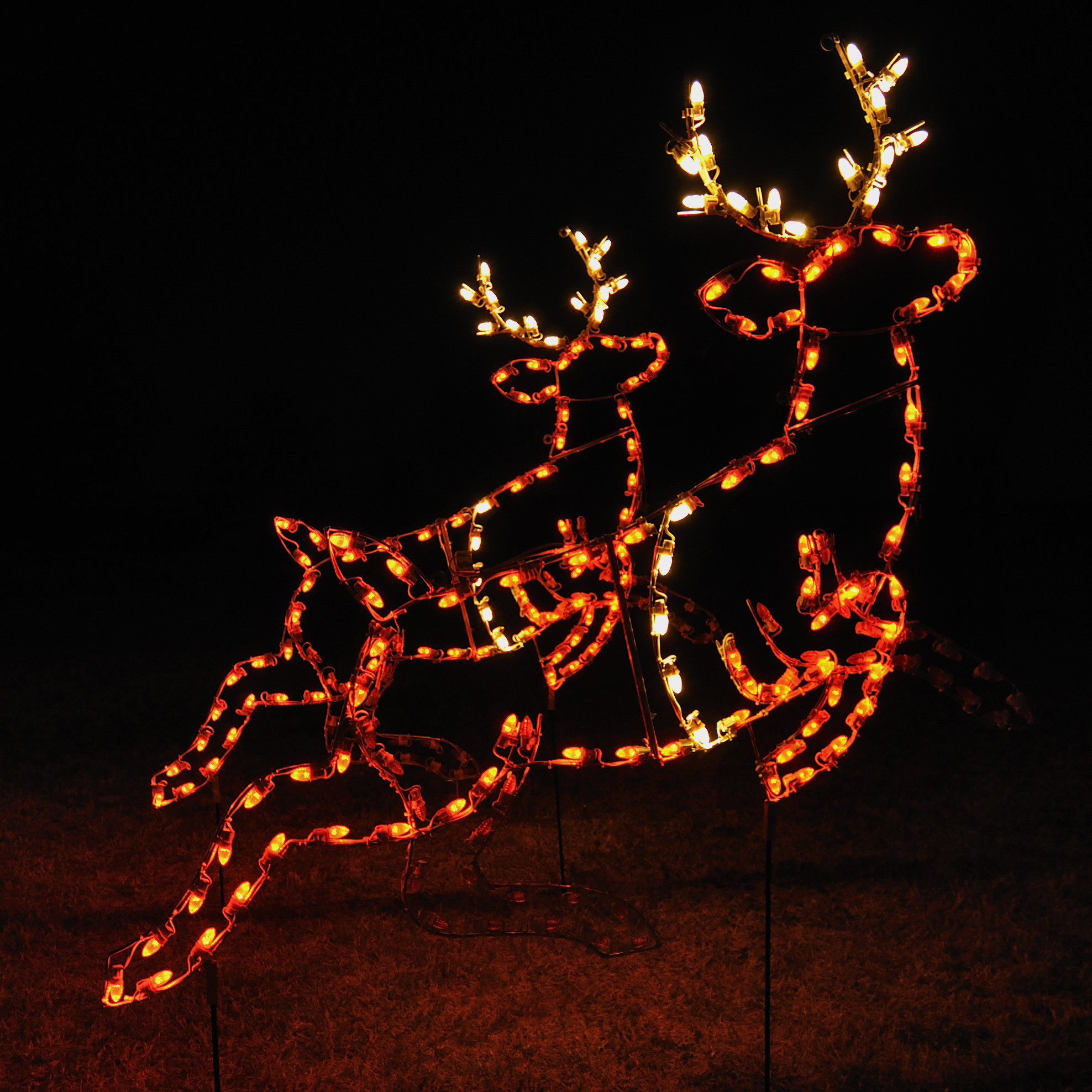 18 Amazing Outdoor Christmas Light Displays - Style Motivation