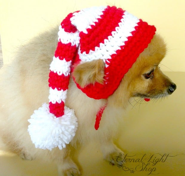 30 Extraordinary Christmas Pet Clothing and Accessory Pieces (12)