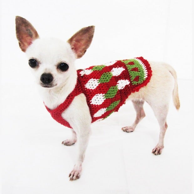 30 Extraordinary Christmas Pet Clothing and Accessory Pieces (27)