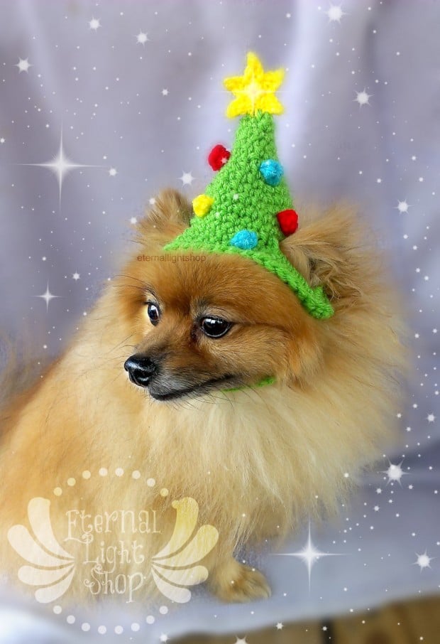 30 Extraordinary Christmas Pet Clothing and Accessory Pieces (29)