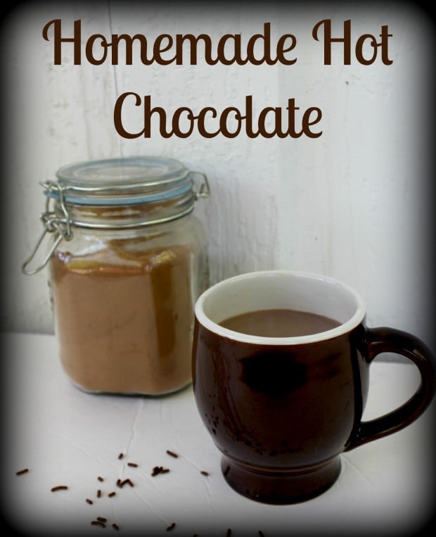 17 Great Hot Chocolate Recipes for Christmas that Your Family Will Love (10)