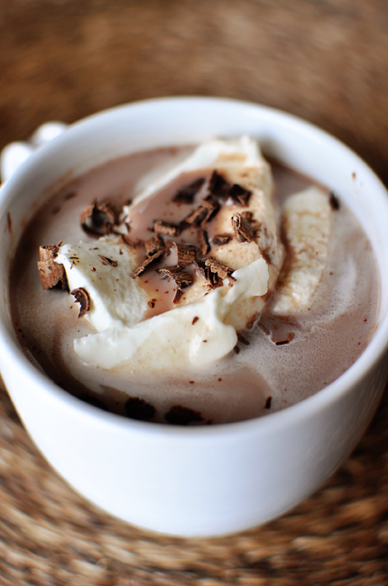 17 Great Hot Chocolate Recipes for Christmas that Your Family Will Love (6)