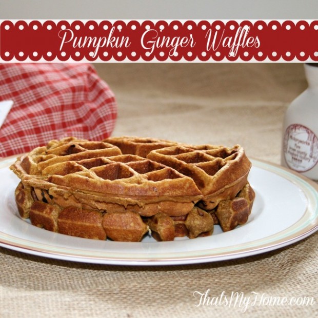 20 Great Waffle Recipes Perfect for Holiday Breakfast (20)