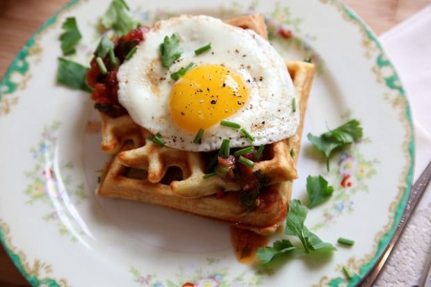 20 Great Waffle Recipes Perfect for Holiday Breakfast (5)