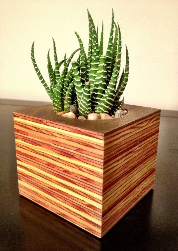 15 Natural and Handmade Living Succulent Decorations (1)