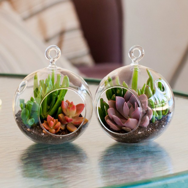 15 Natural and Handmade Living Succulent Decorations (11)