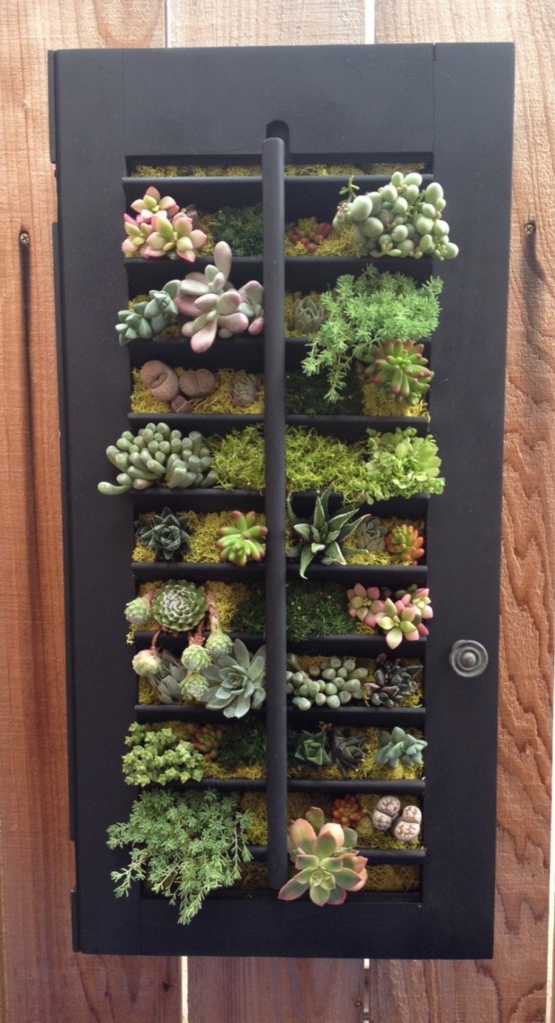 15 Natural and Handmade Living Succulent Decorations (12)