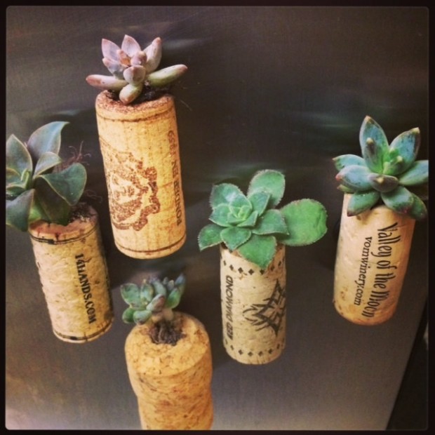 15 Natural and Handmade Living Succulent Decorations (13)