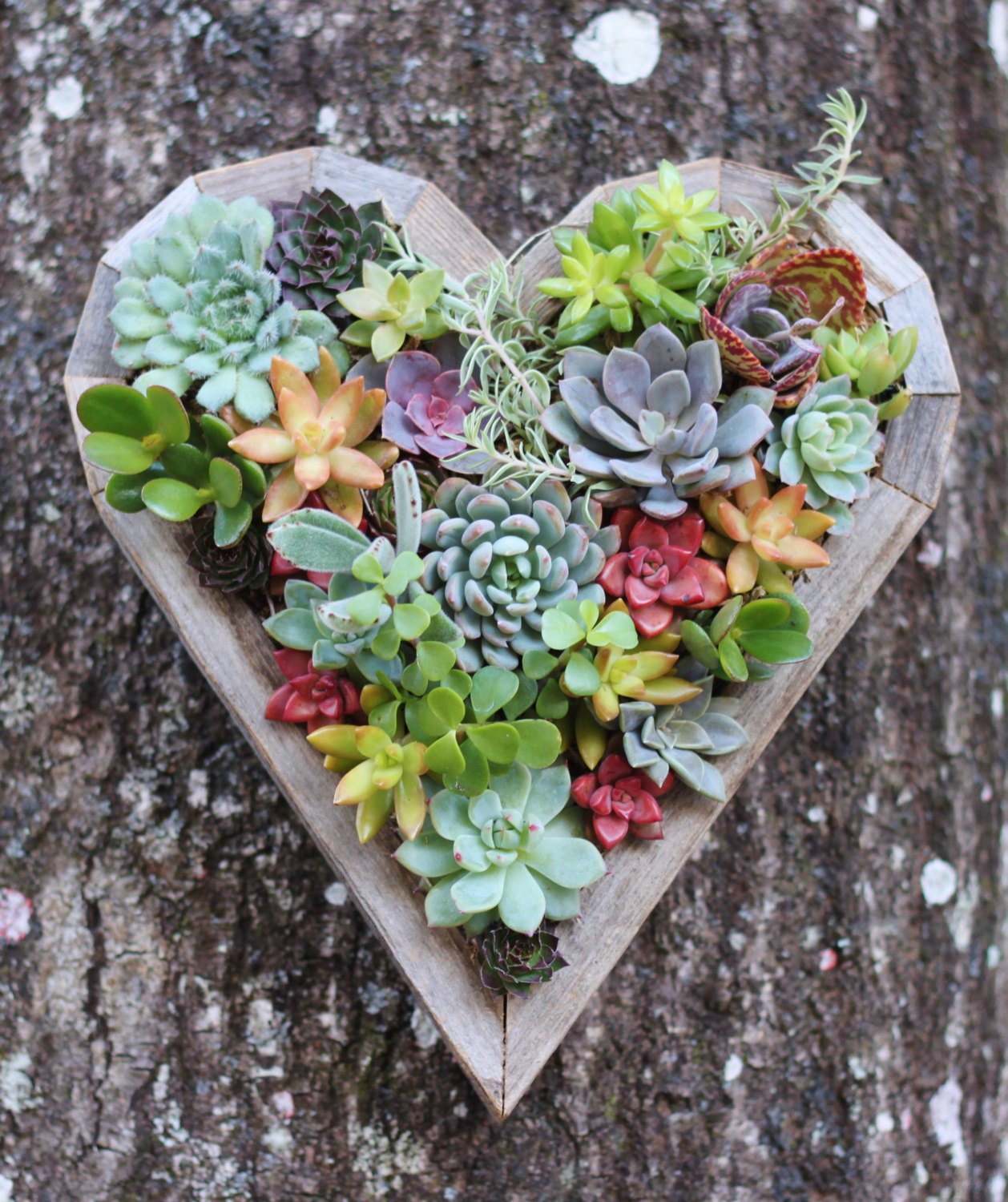 15 Natural and Handmade Living Succulent Decorations 3