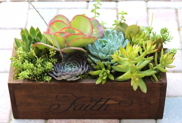 15 Natural and Handmade Living Succulent Decorations (4)