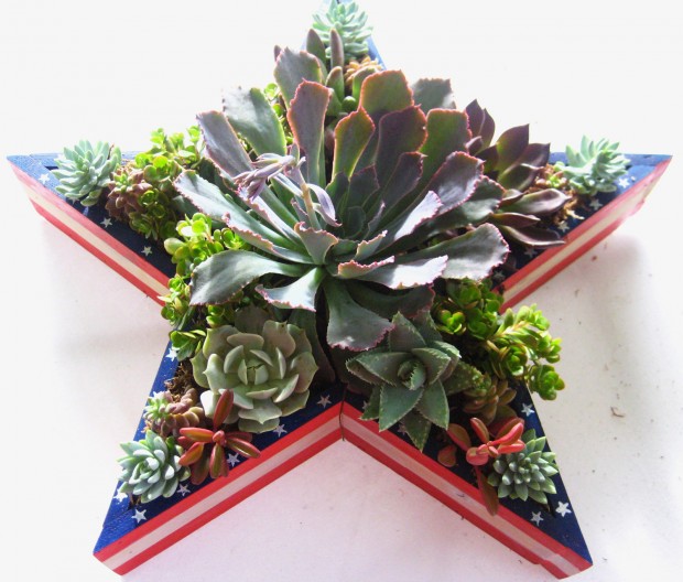15 Natural and Handmade Living Succulent Decorations (5)