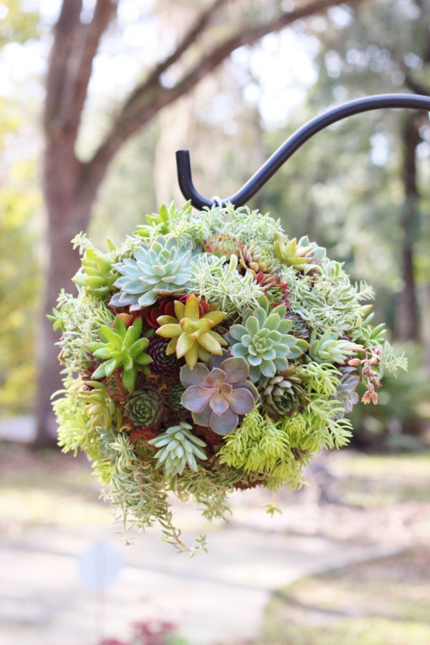 15 Natural and Handmade Living Succulent Decorations (6)