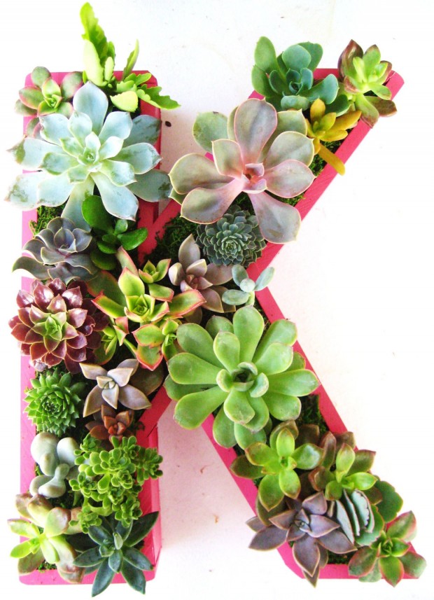 15 Natural and Handmade Living Succulent Decorations (7)