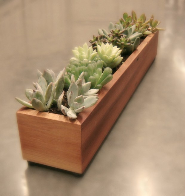 15 Natural and Handmade Living Succulent Decorations (9)