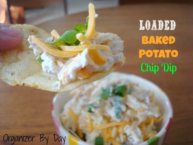 20 Delicious Appetizer and Dip Recipes  (16)
