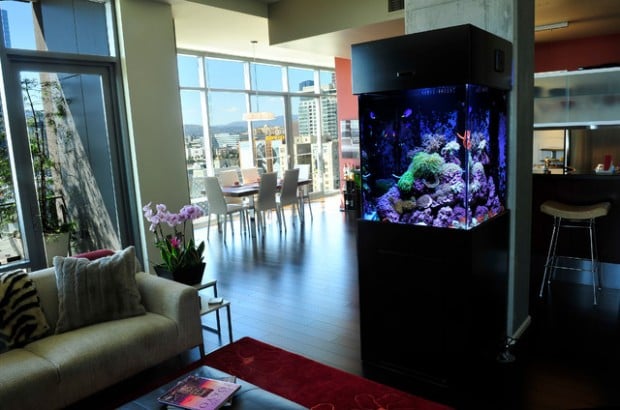 25 Original Ideas with Aquarium in Home Interior (12)